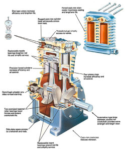 pumps-cutaway